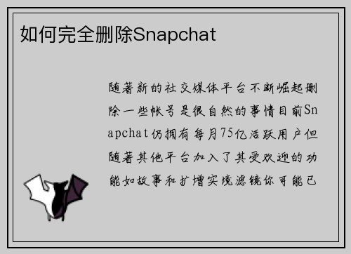 如何完全删除Snapchat 